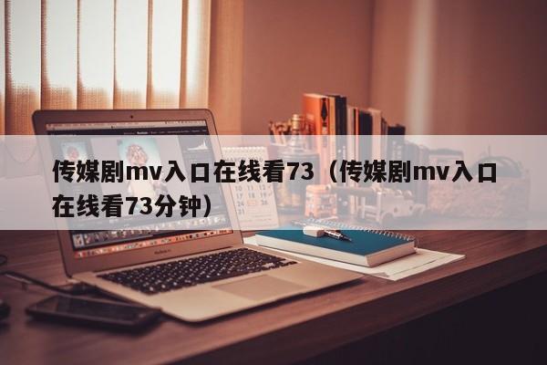传媒剧mv入口在线看73(传媒剧mv入口在线看73分钟)